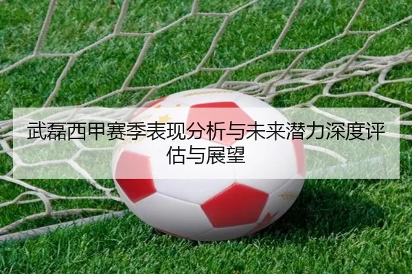 武磊西甲赛季表现分析与未来潜力深度评估与展望