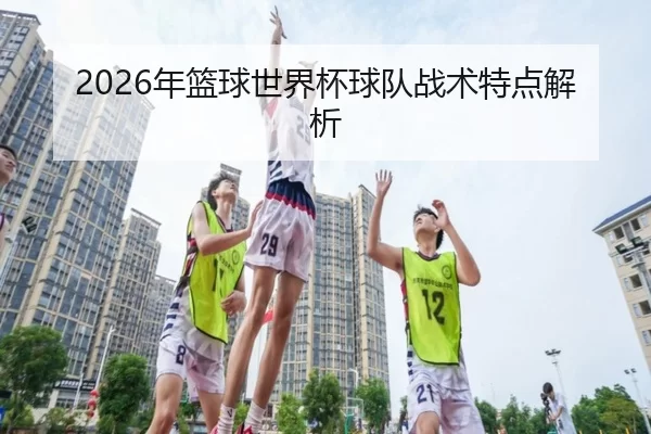 2026年篮球世界杯球队战术特点解析
