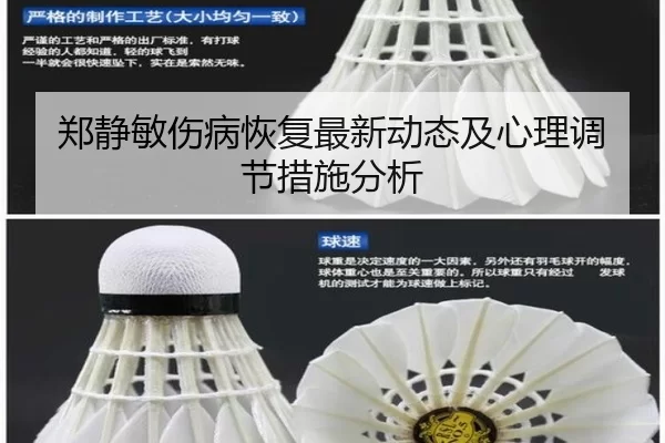 郑静敏伤病恢复最新动态及心理调节措施分析